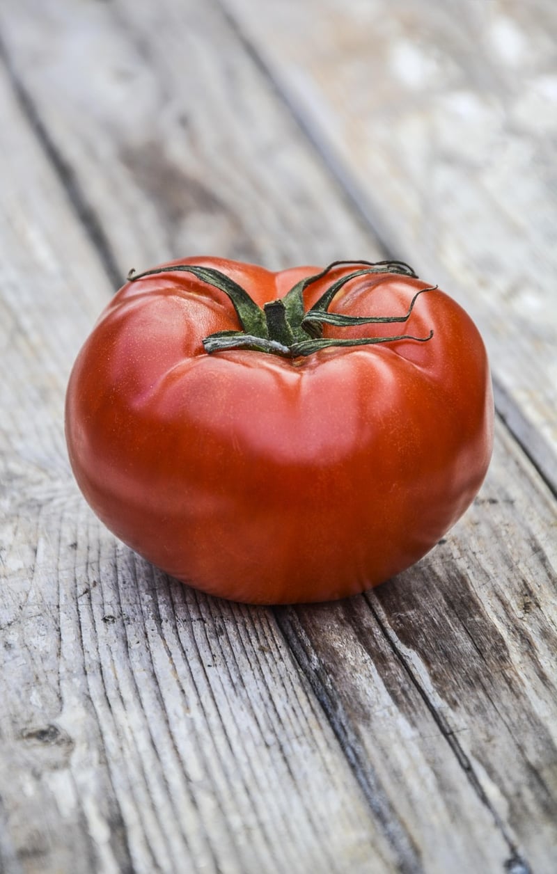 Fresh and Wholesome Ingredients